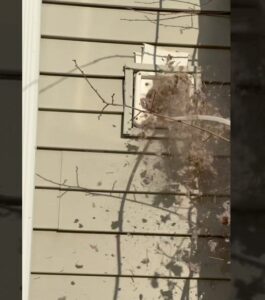 best dryer vent cleaning staten island ny by homelux